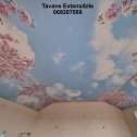 Фотография от Tavane Extensibile 3D 069287088