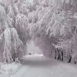 Фотография от FNUBAITIA EDIC 1BOTUSNEANU FALESTI EDIC