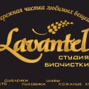 Фотография от Студия биочистки LAVANTEL