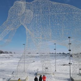 Фотография от Лариса Косолапова