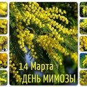 Фотография от Валентина Бочарникова