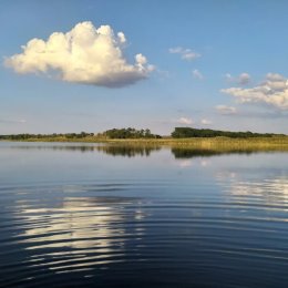 Фотография от Алиса ЦвЕтАеВа