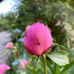 Фотография от Светлана Котляр (Тутоян)