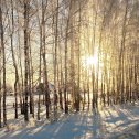 Фотография от светлана михеева