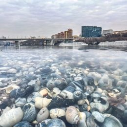 Фотография от Людмила Трегубова (Степанова)