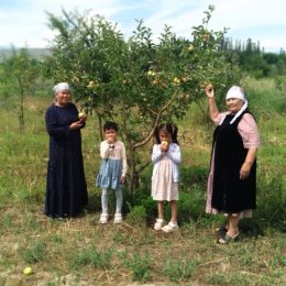 Фотография от Жаркынай Мамашерова