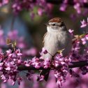 Фотография от Елена Михайлова