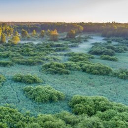 Фотография от Владимир Гюнтер-