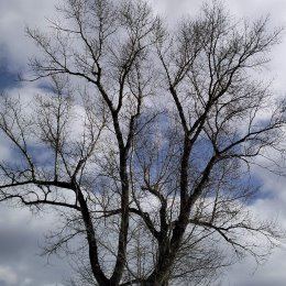 Фотография от Геня Гринкевичуте