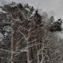 Фотография от Александр Александр