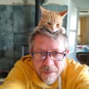 Фотография "Вот почему так, как только появляется новый котик, сразу садится мне на шею?)))"