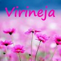 Фотография от virineja inina