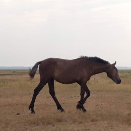 Фотография от Serik Serik