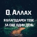 Фотография от ДИЛЬФУЗА Юлдашева