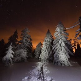 Фотография от Саша Максимов