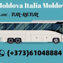 Фотография "Transport Moldova Italia Moldova , Zilnic în toate orașele Italiei . Tur-Retur !
Rezervări : (+373)61048884 Viber/Whatsapp
https://transport-moldova-romania-italia-zilnic.business.site/?m=true"
