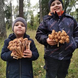 Фотография от АЛЕКСЕЙ КАПАЕВ