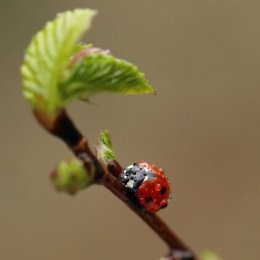 Фотография от Nazlı Yusifzade