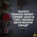 Фотография от 🌷🌹🌹🌷 🌷🌹🌹🌷