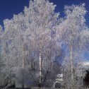 Фотография от алексей дубовой