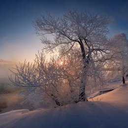 Фотография от Вадим Воронов