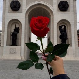 Фотография от Змея 🌹