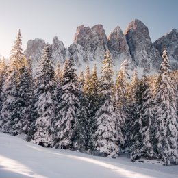 Фотография от Николай Бурмистров