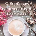 Фотография от Товары для Сада Зоотовары Кирова 5