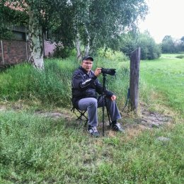 Фотография "Снимаем аистов на поле возле гнезда"