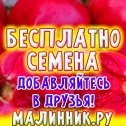 Фотография от МАЛИННИК РУ СУПЕР-ПОДАРКИ