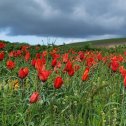 Фотография от Море волнуется