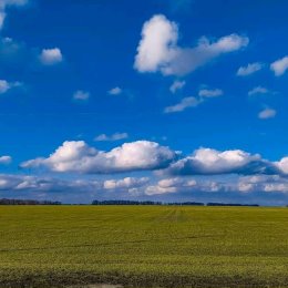 Фотография от Светлана Рудык