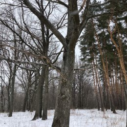 Фотография от Алексей Стрельников