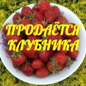 Фотография от КЛУБНИКА ЯГОДЫ🍓🍓🍓