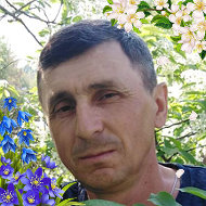 Николай Пиманкин