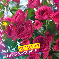 Марина Сокольская