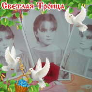 Лена Толчеева