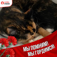 Оксана Михайлова