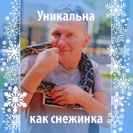 Сергей Кутков