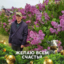 Володя кулаев