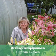 Елена Фролова