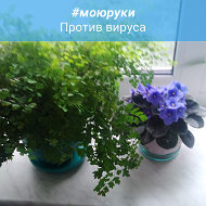 Ирина Циркунович