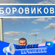 Боровиков Николай