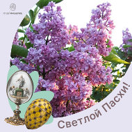 Татьяна Светлова