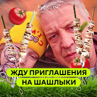 Владимир Останин