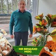 Александр Климентович