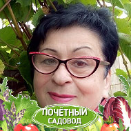 Наргиза Хашова
