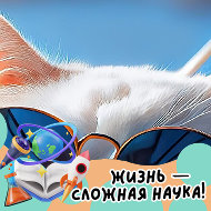 Игорь Никашин