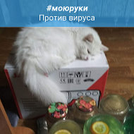 Нина Тихонова