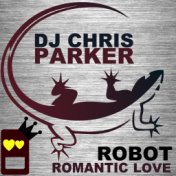 Robot Romantic Love